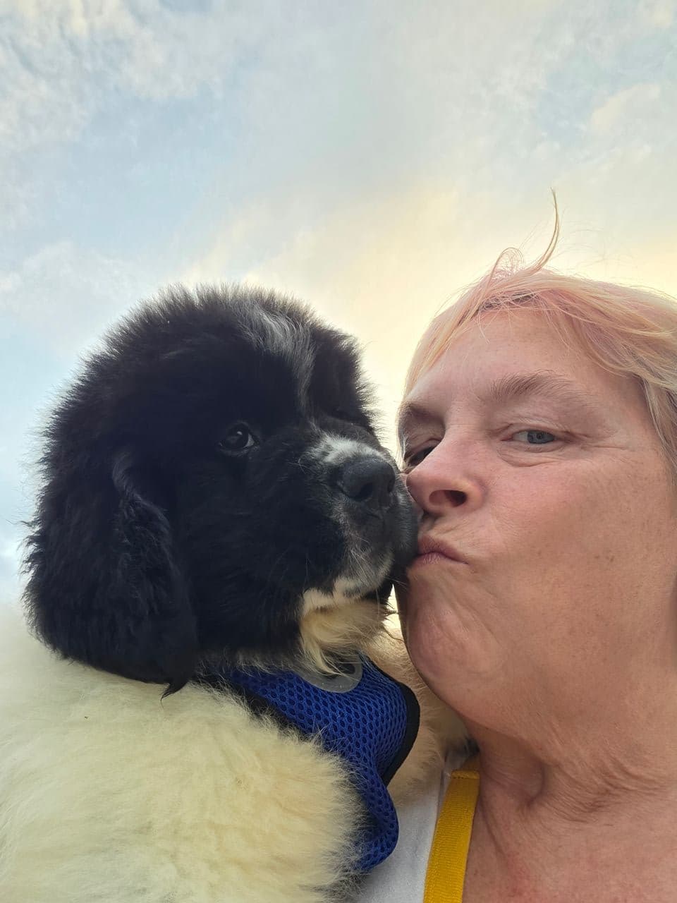 Pet travel photo 2