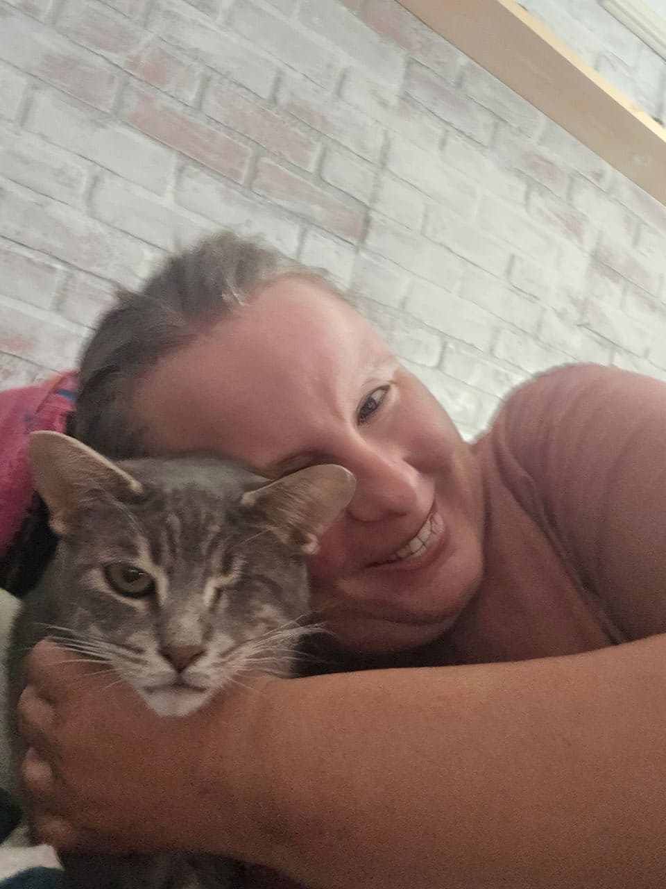 Pet travel photo 2