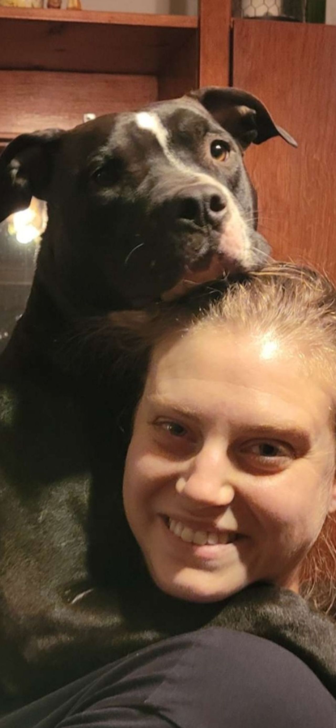 Pet travel photo 5