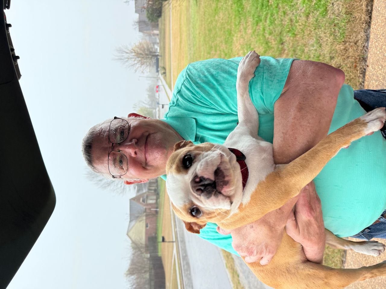 Pet travel photo 6