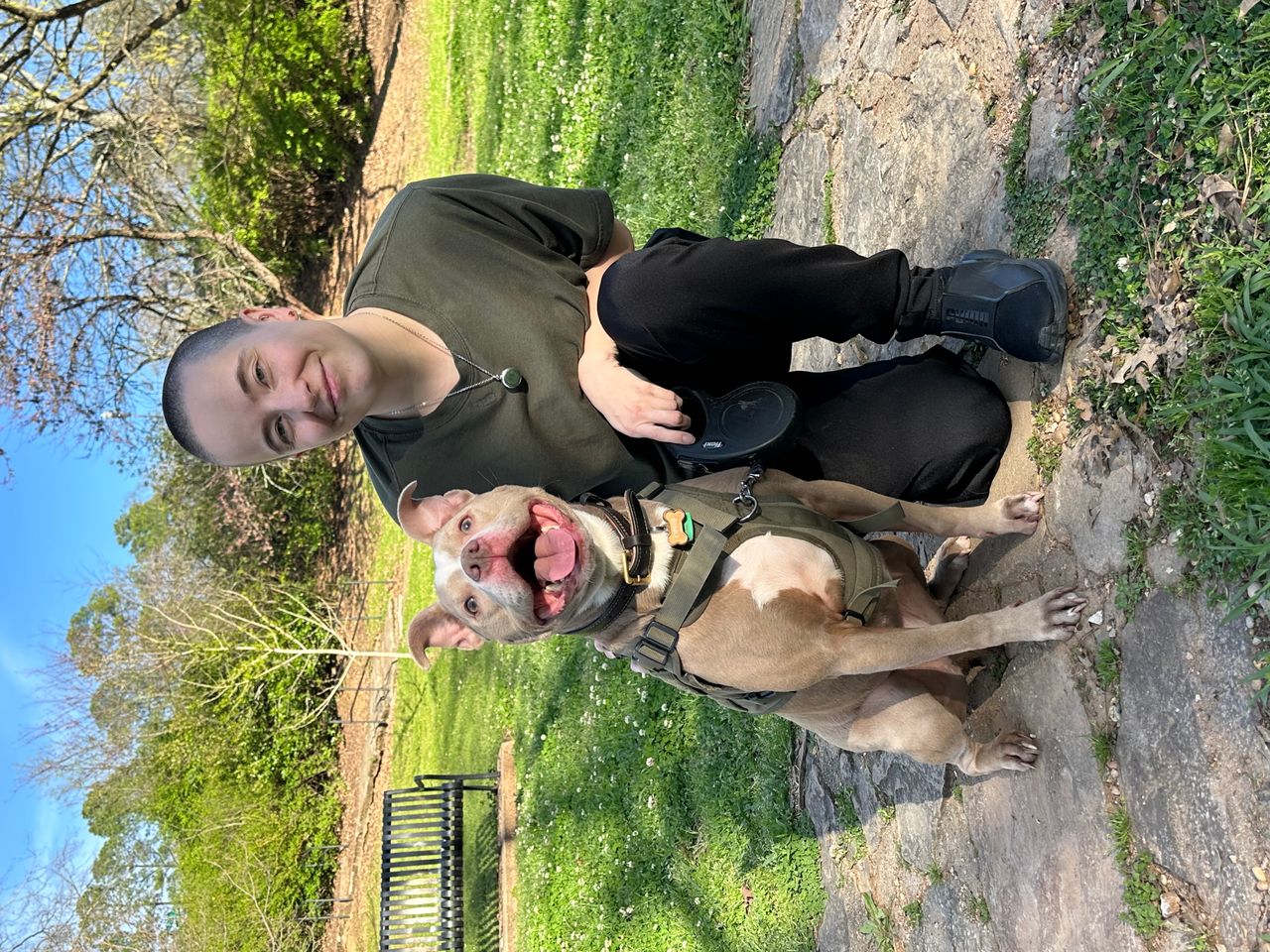 Pet travel photo 4