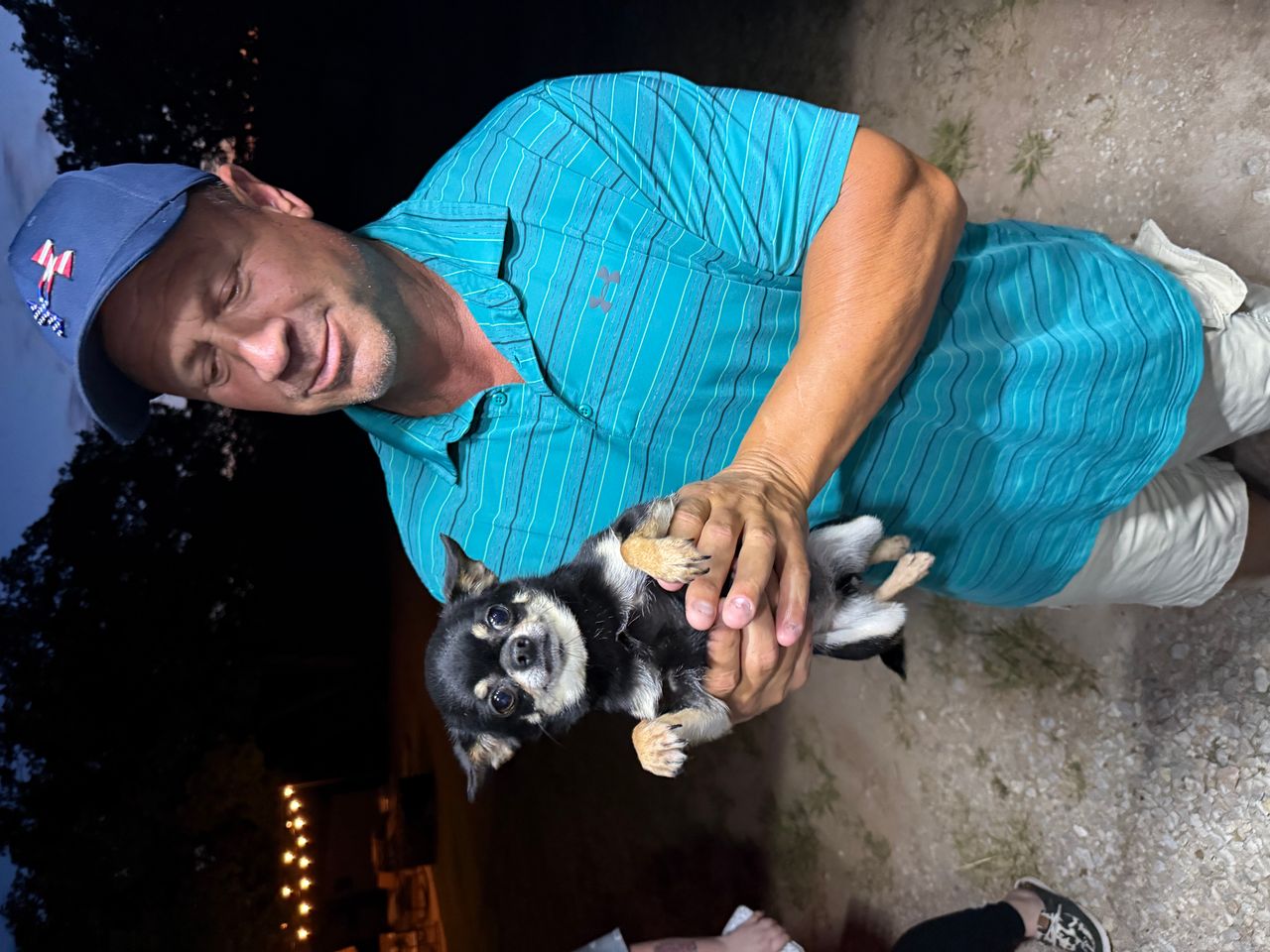 Pet travel photo 4