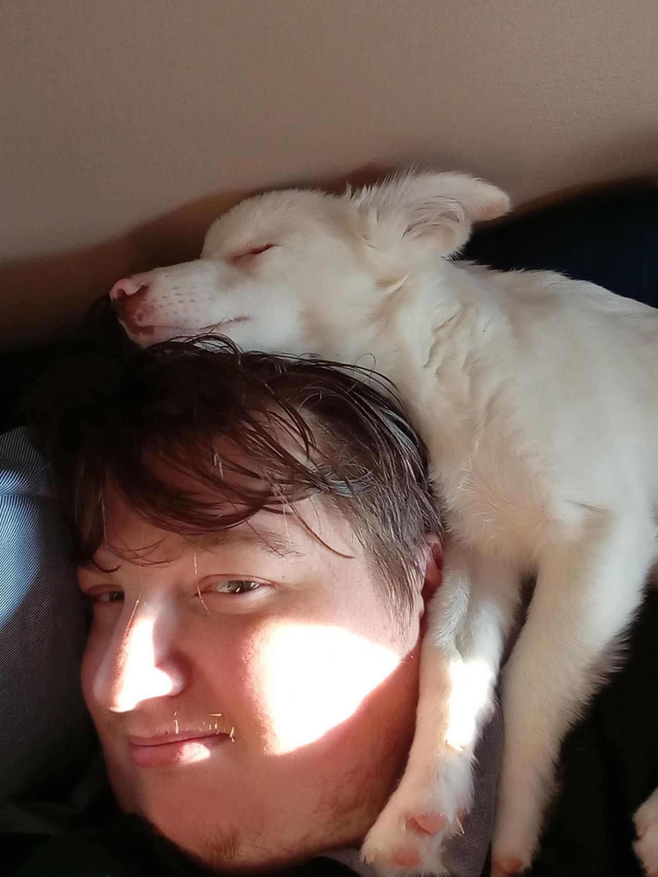 Pet travel photo 3