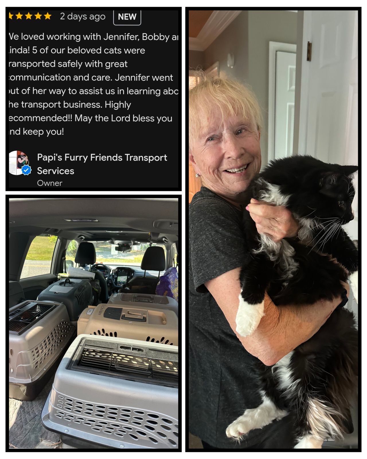 Pet travel photo 3