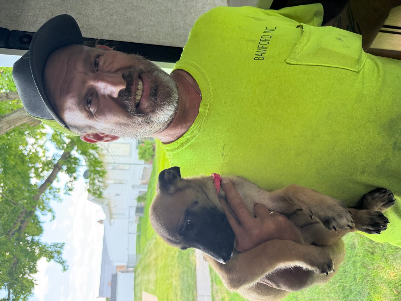 Pet travel photo 2
