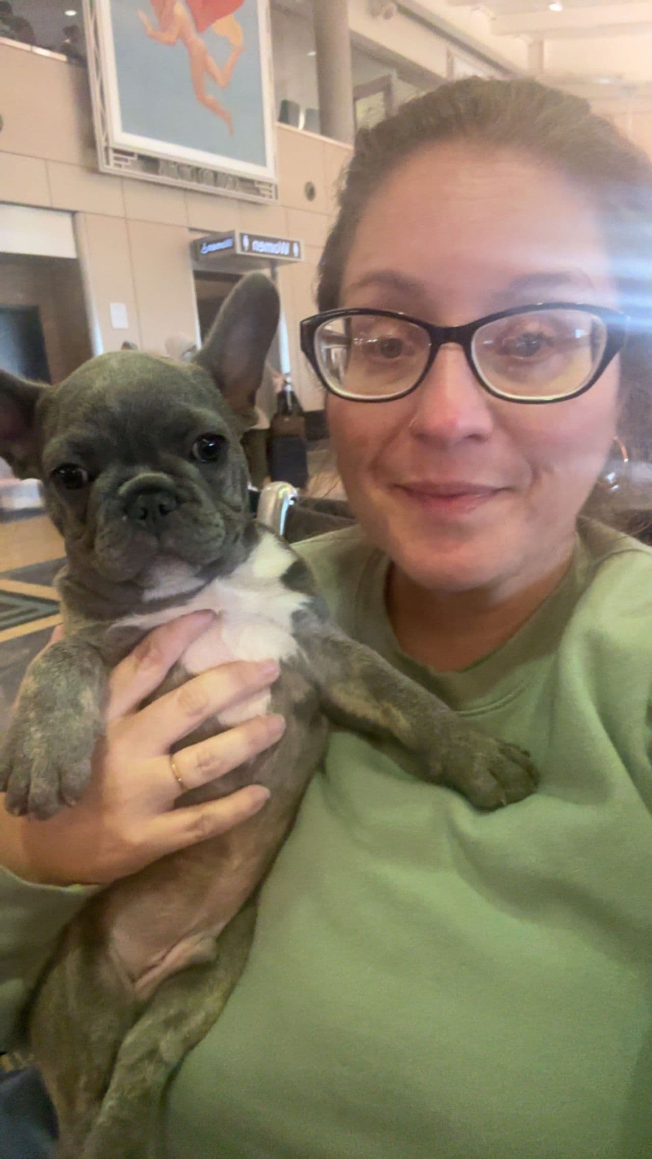 Pet travel photo 3