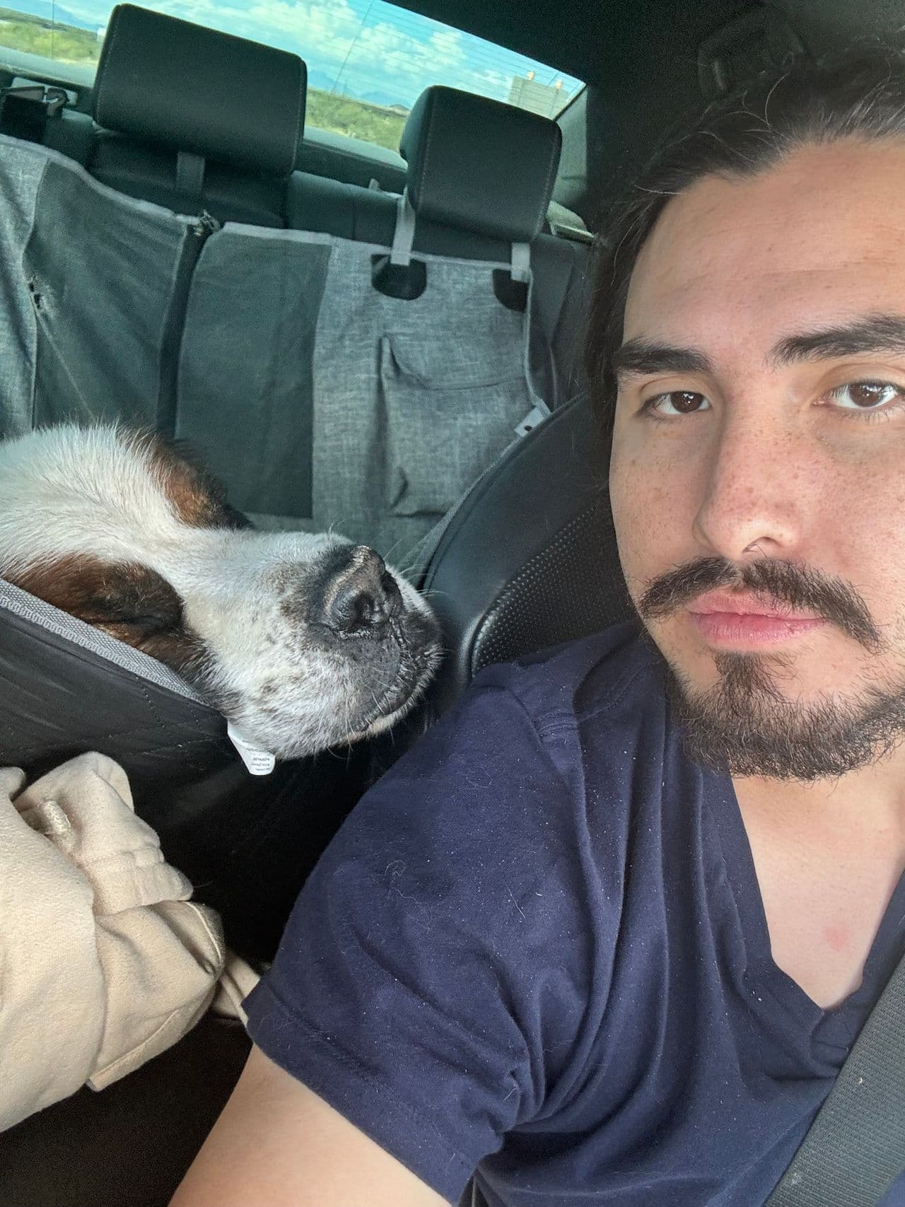 Pet travel photo 1