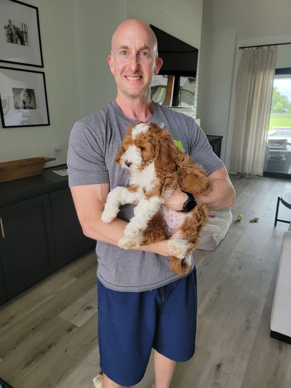 Pet travel photo 2