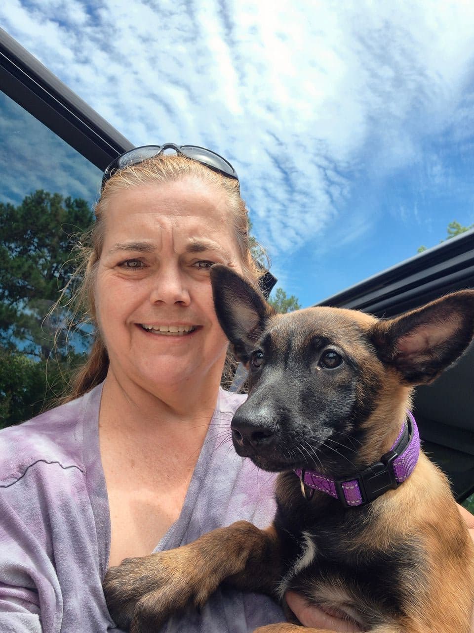 Pet travel photo 6