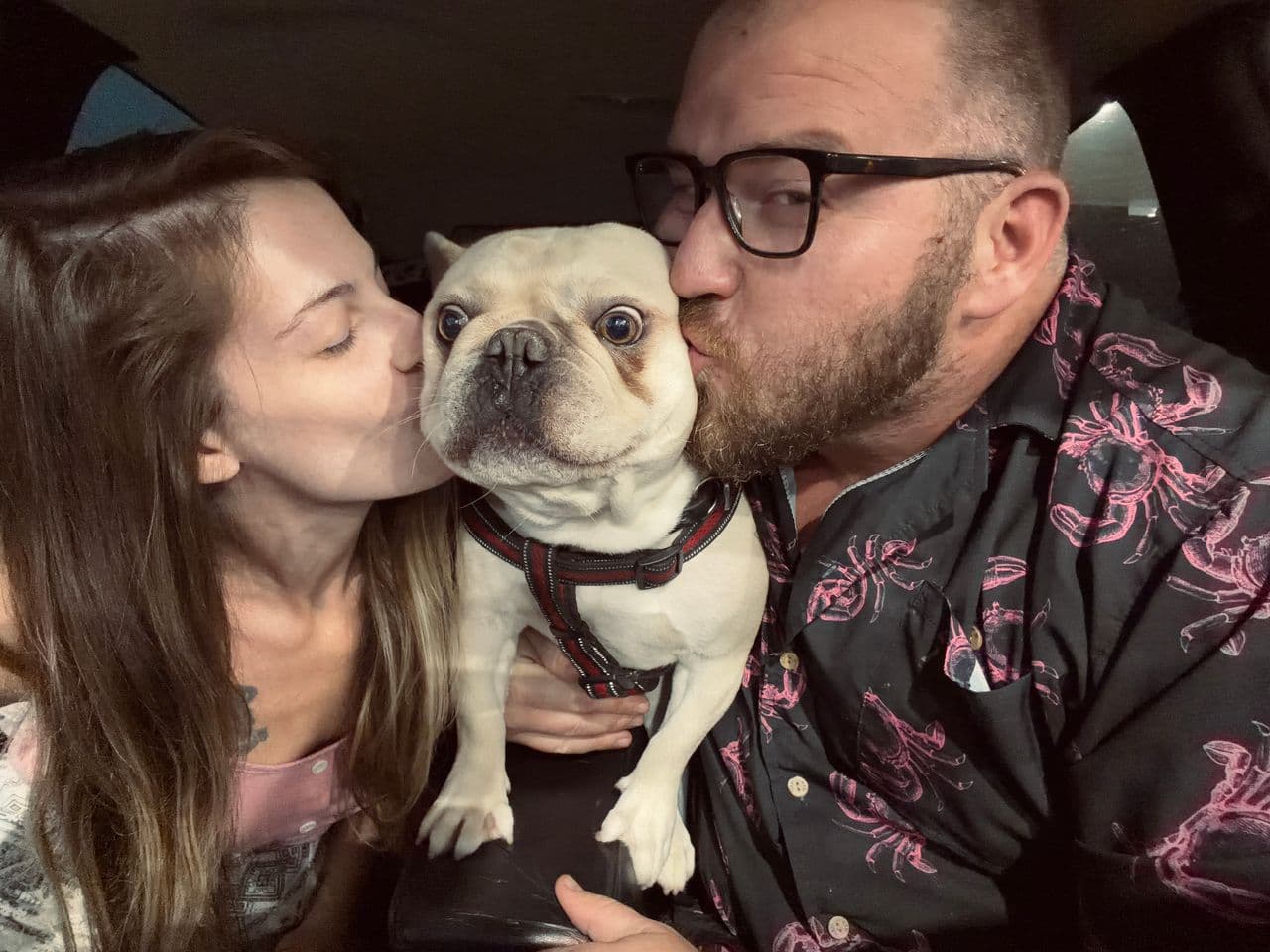 Pet travel photo 4