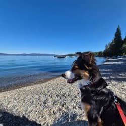 NCR Roadside Transport