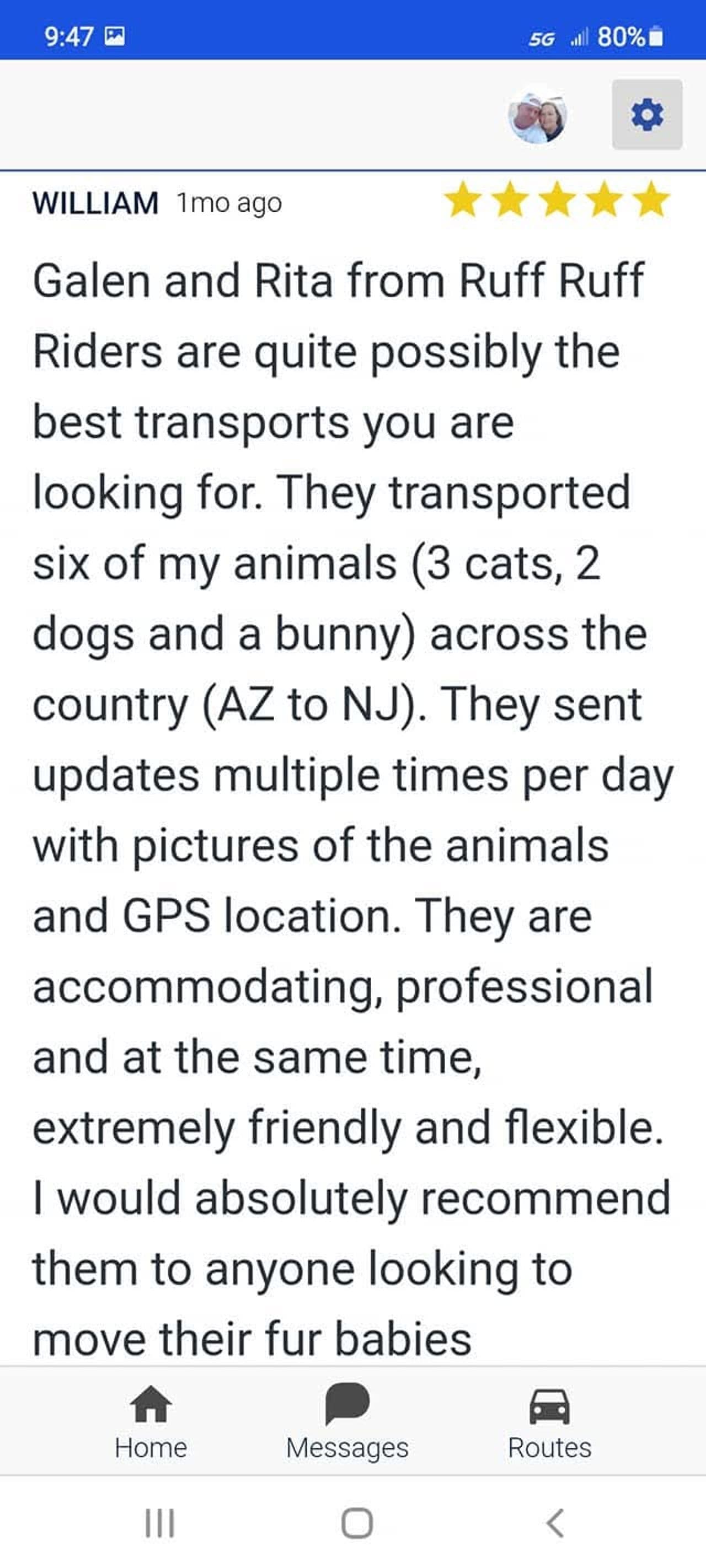 Pet travel photo 5