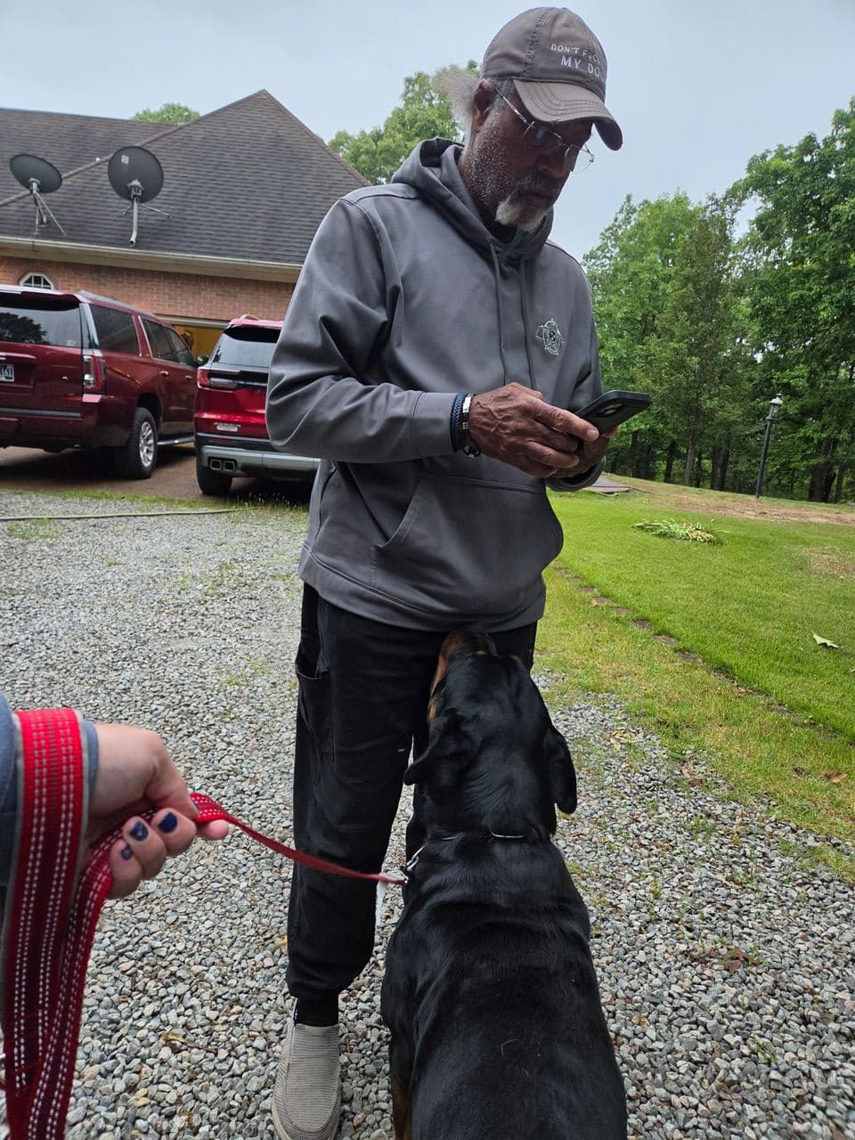 Pet travel photo 1