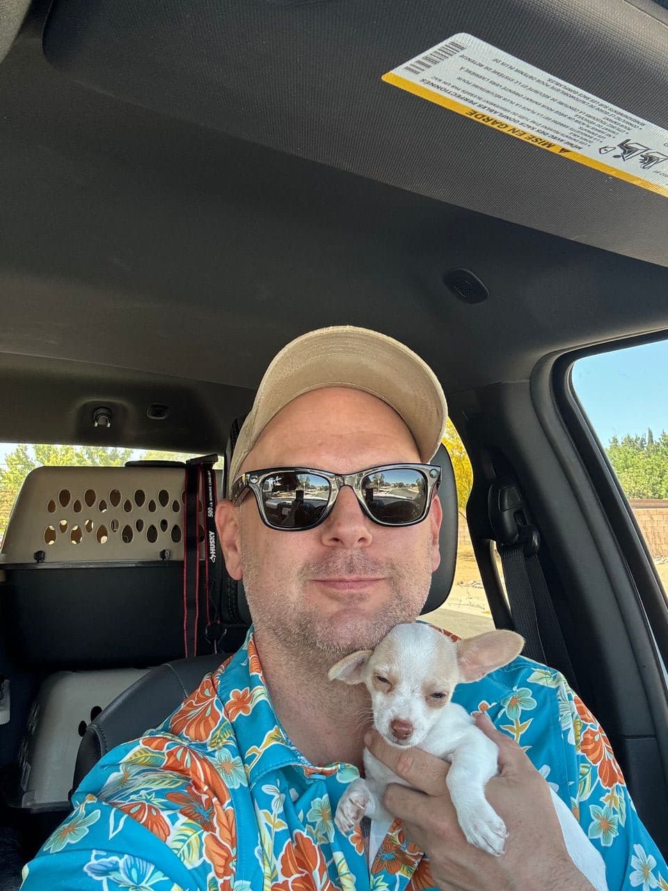 Pet travel photo 1