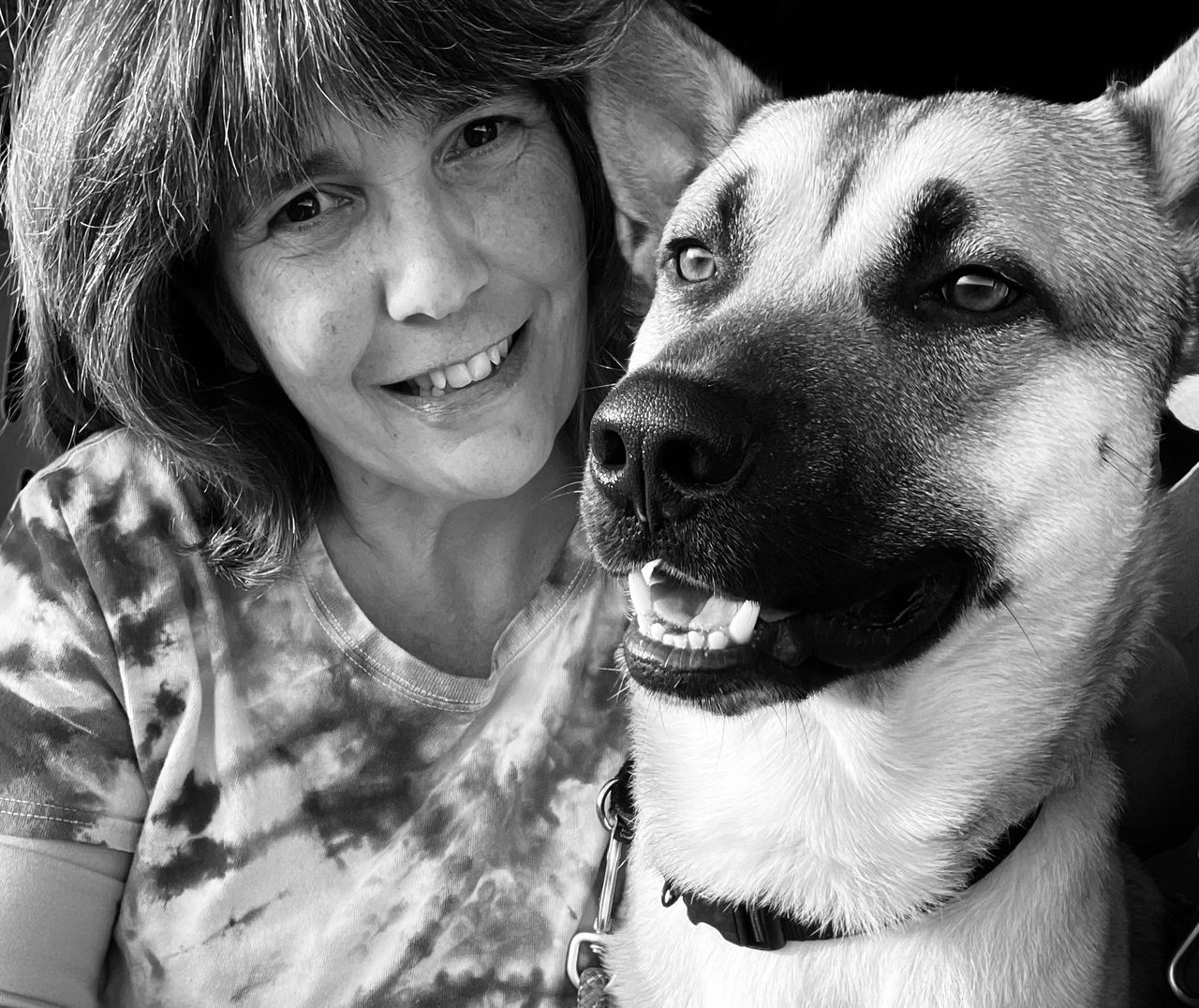 Pet travel photo 3