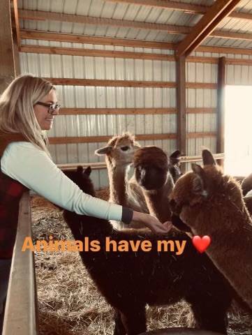 Pet travel photo 1