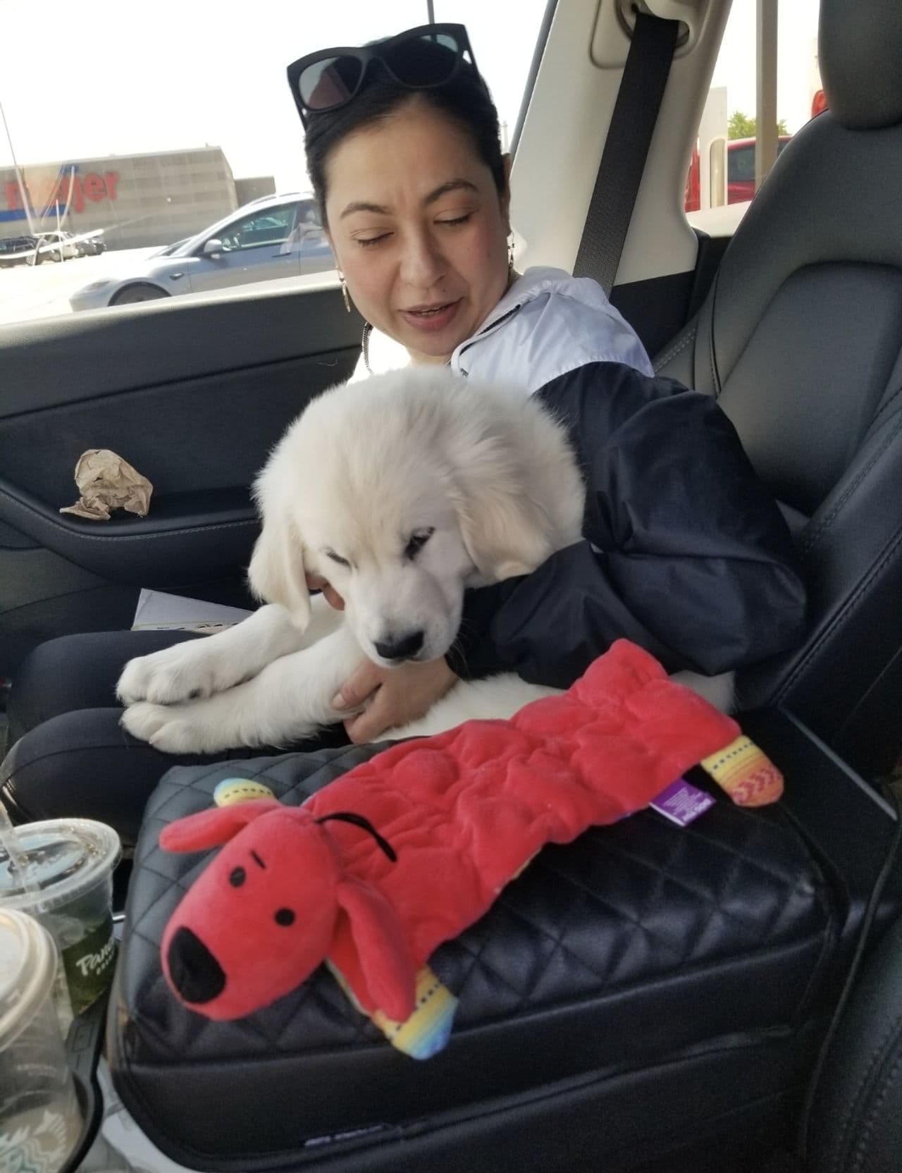 Pet travel photo 5