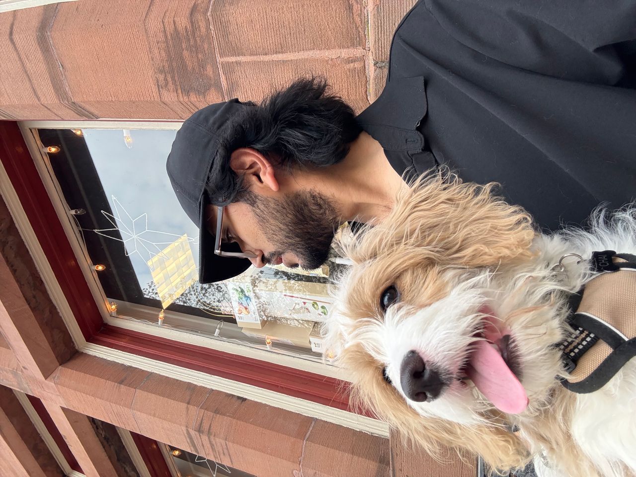 Pet travel photo 4