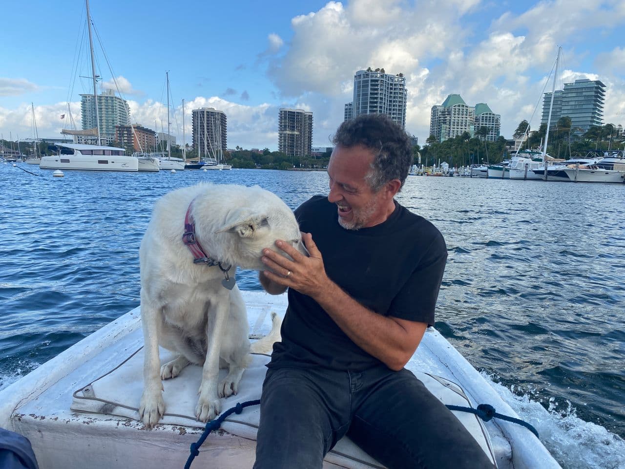 Pet travel photo 3