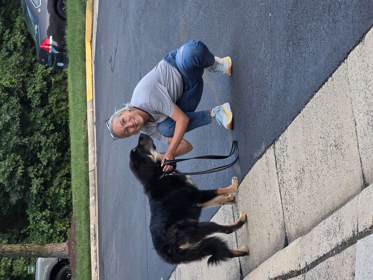 Pet travel photo 1