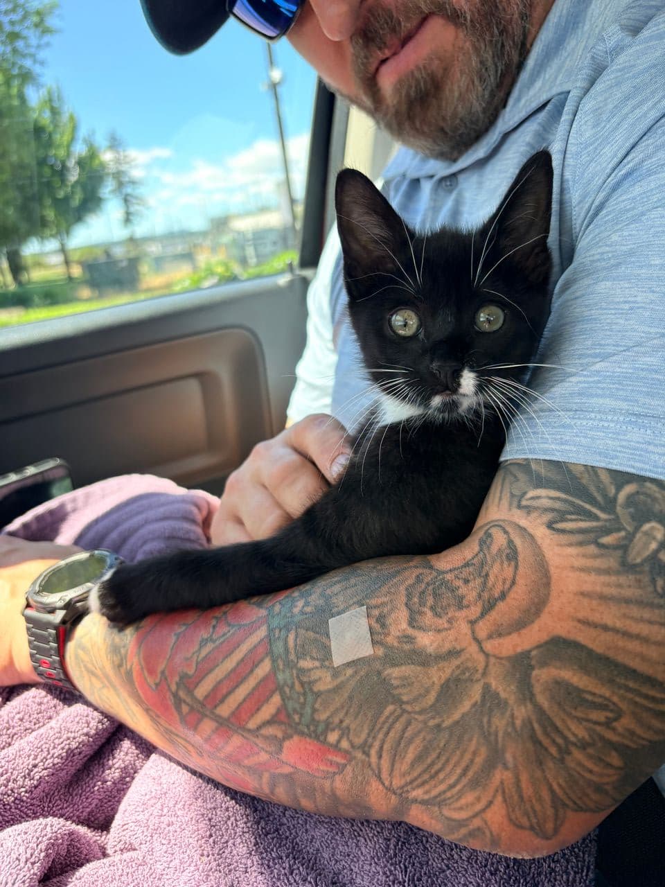 Pet travel photo 6