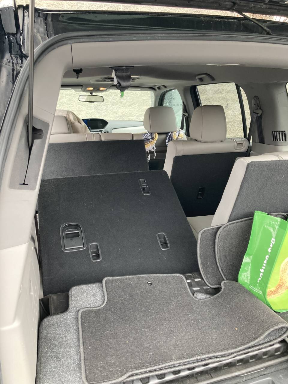 Pet travel photo 3