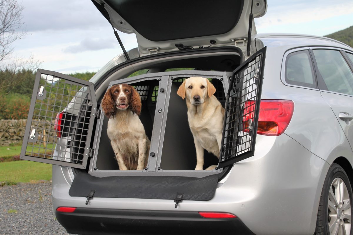 Two dogs in the trunk of a car with carriers, which is a fantastic way to road trip with your pets.