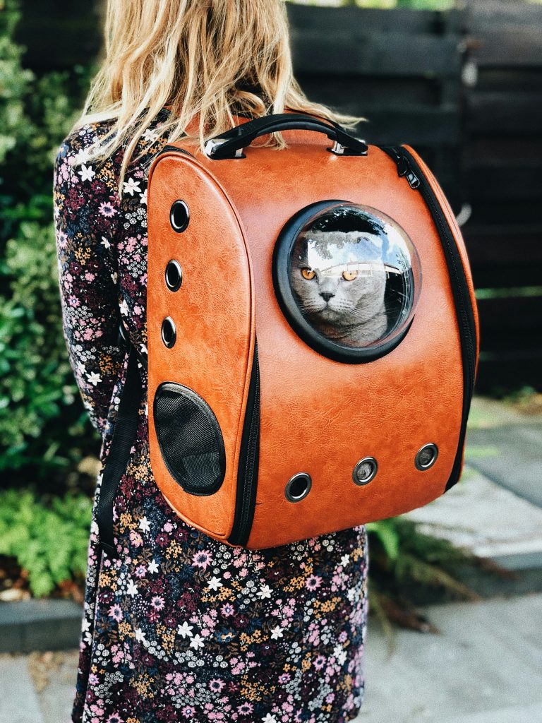A person wearing a floral dress carries one of the trendy Cat Backpacks—a brown version with a transparent bubble window, through which a cat is visible inside.