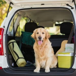 https://citizenshipper.com/blog/furniture-shipping-company