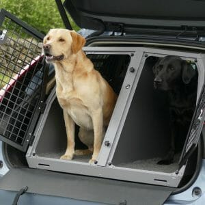 dogs, crate, car