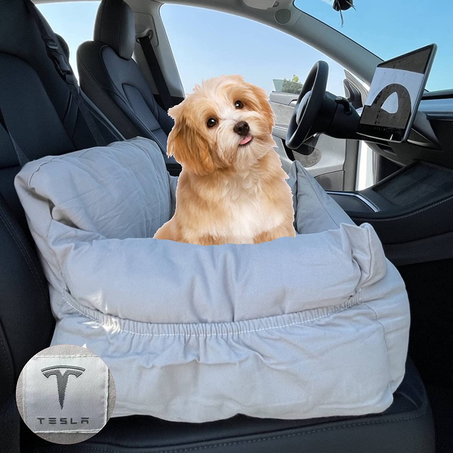 10 Best Cars for Transporting Dogs in 2022
