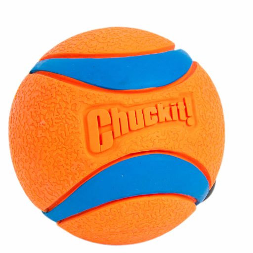 Best Dog Toy: Chuckit ball in orange and blue.