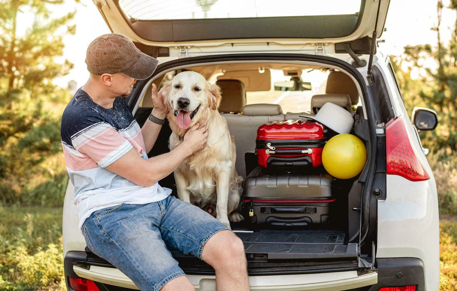 Can I Ship A Puppy To Another State