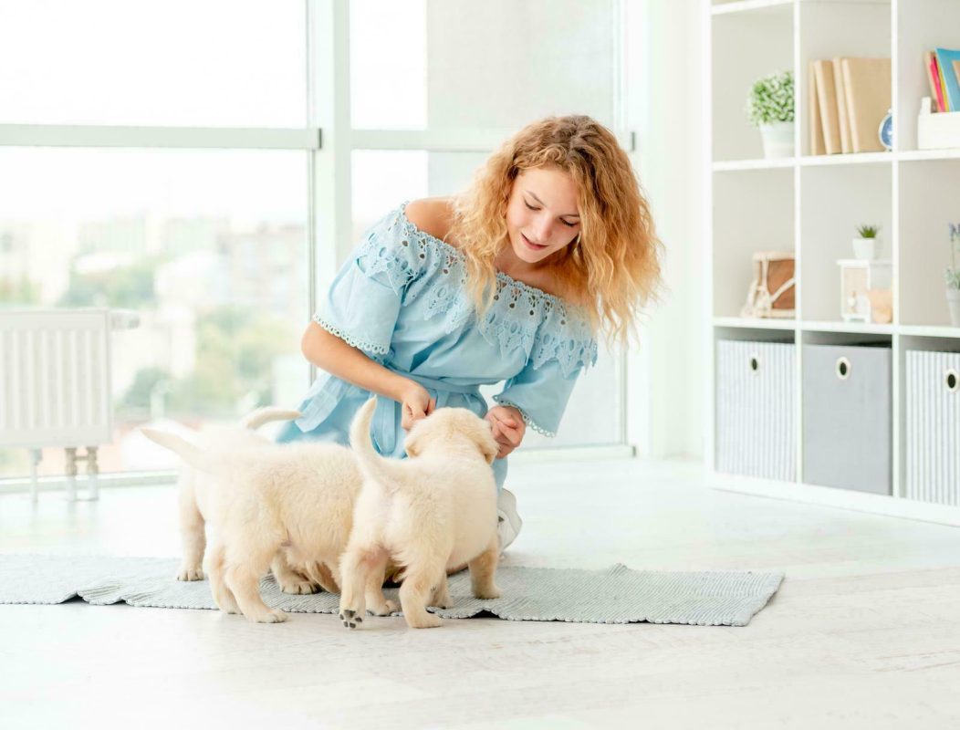 https://citizenshipper.com/blog/furniture-shipping-company