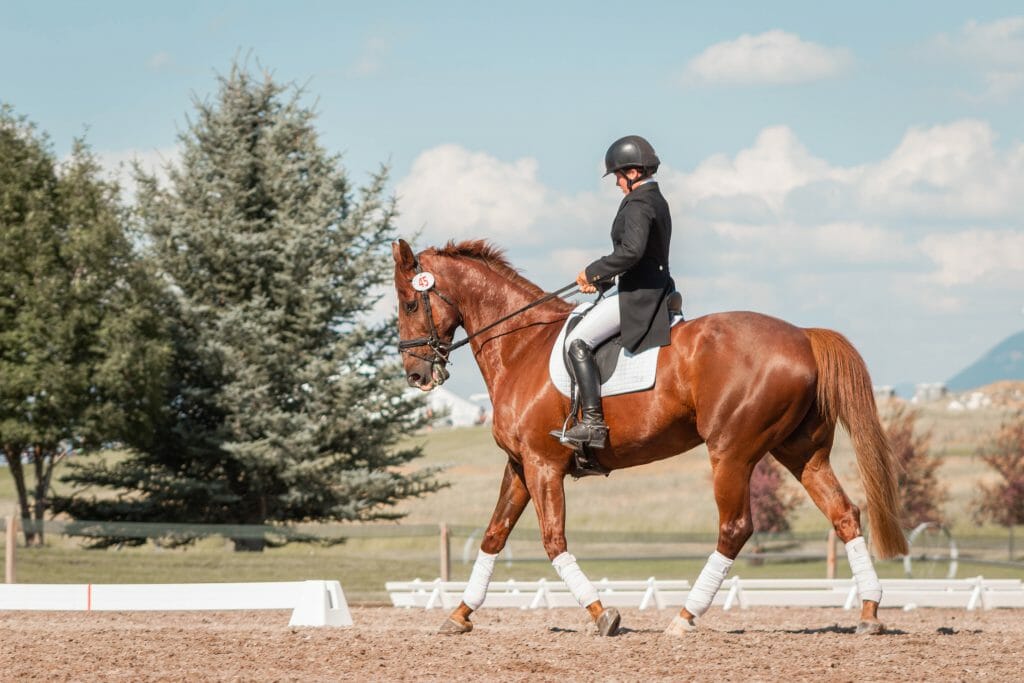 A rider on a horse in an arena showcasing the skills of horse transportation.