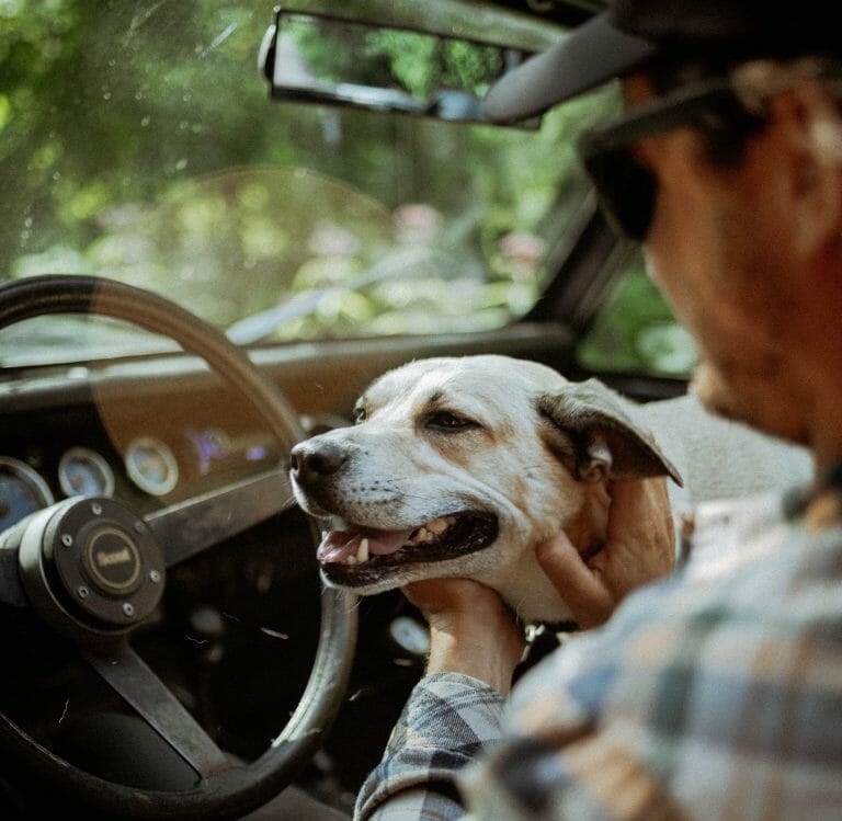 A dog owner avails affordable pet transportation services for their canine companion.
