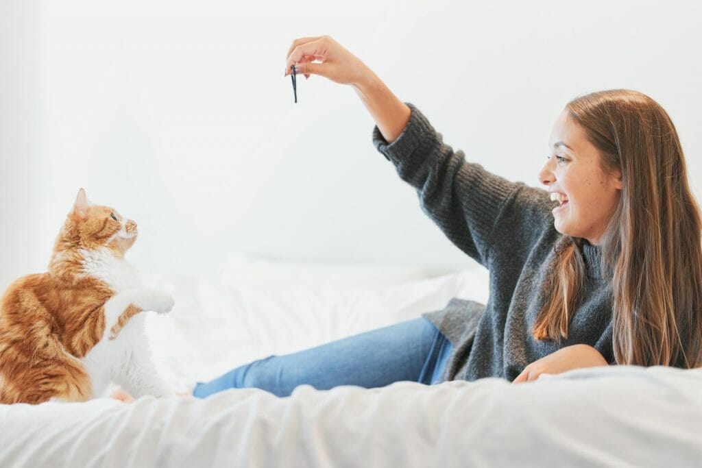 A woman on a bed observes her cat's peculiar behavior with a key.