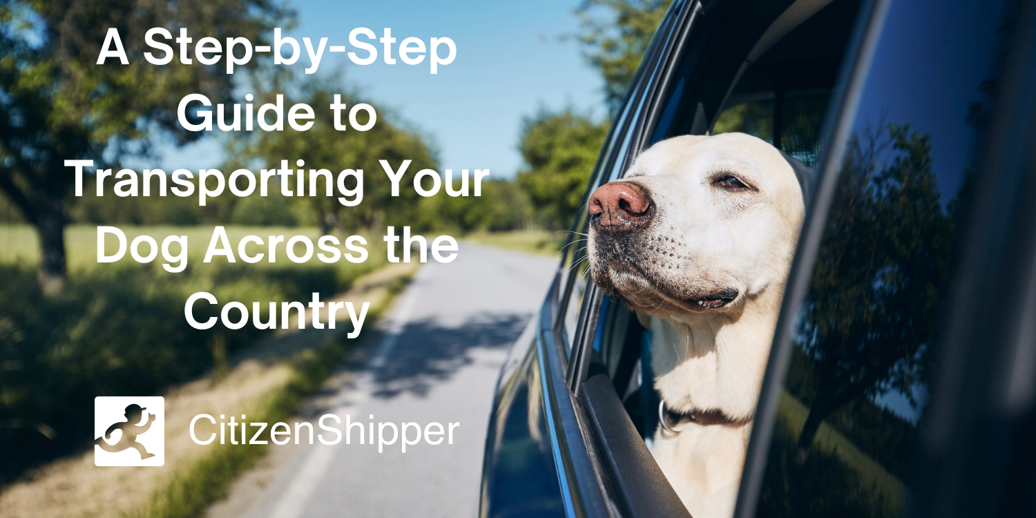Transporting Your Dog Across the Country CitizenShipper Blog