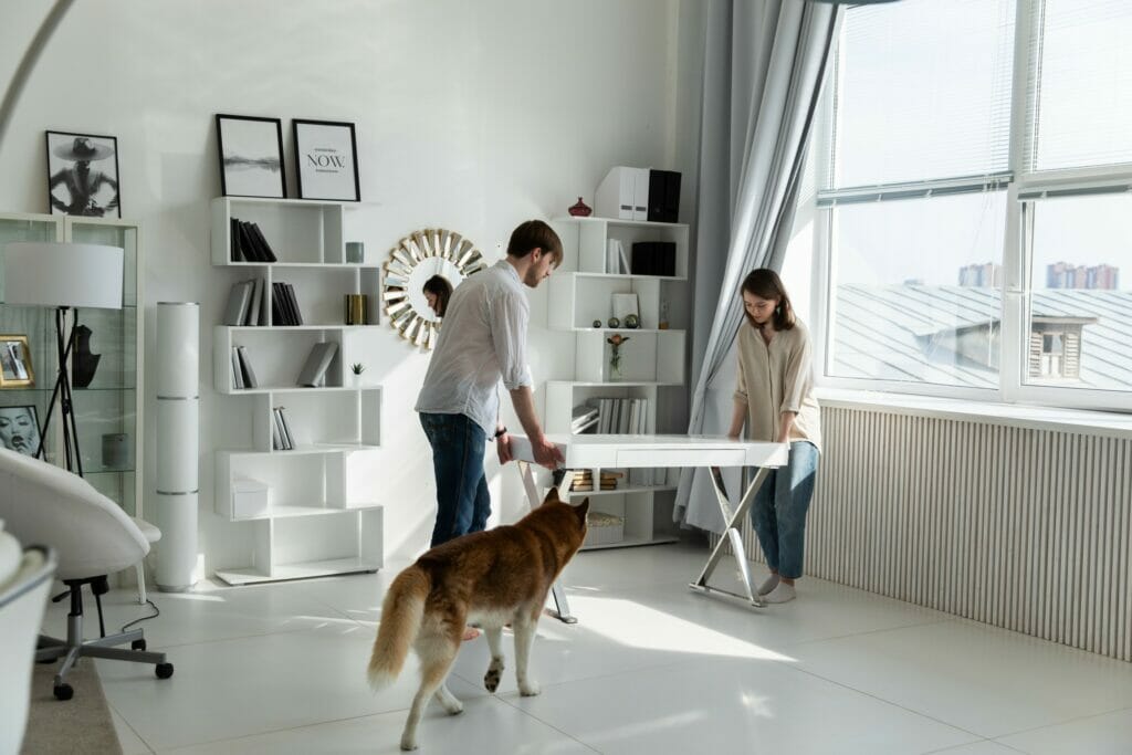 https://citizenshipper.com/blog/furniture-shipping-company