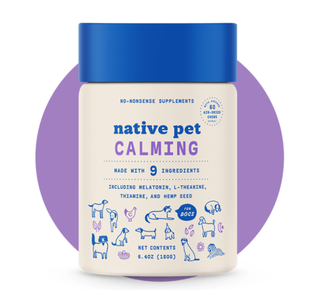 What Is The Cheapest Way to Transport a Dog Across the Country?