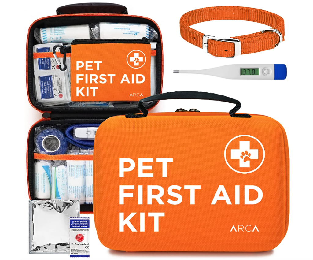 What Is The Cheapest Way to Transport a Dog Across the Country?