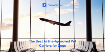 The top-rated airline approved pet carriers for dogs.