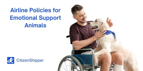 A man in a wheelchair smiles while petting a service dog. Text on the image reads: "Which Airlines Allow Emotional Support Animals?" and "CitizenShipper," accompanied by a logo.