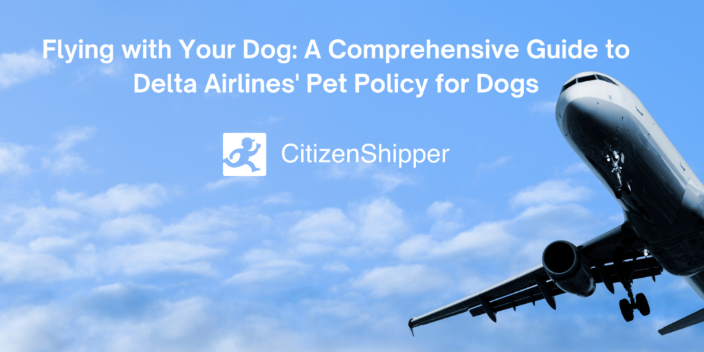 Guide to Delta Airlines' Pet Policy CitizenShipper Blog