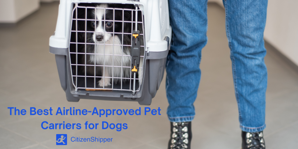 The top-rated pet carriers for dogs approved by airlines.