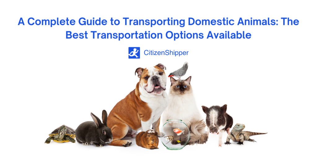 Guide to Transporting Domestic Animals CitizenShipper Blog