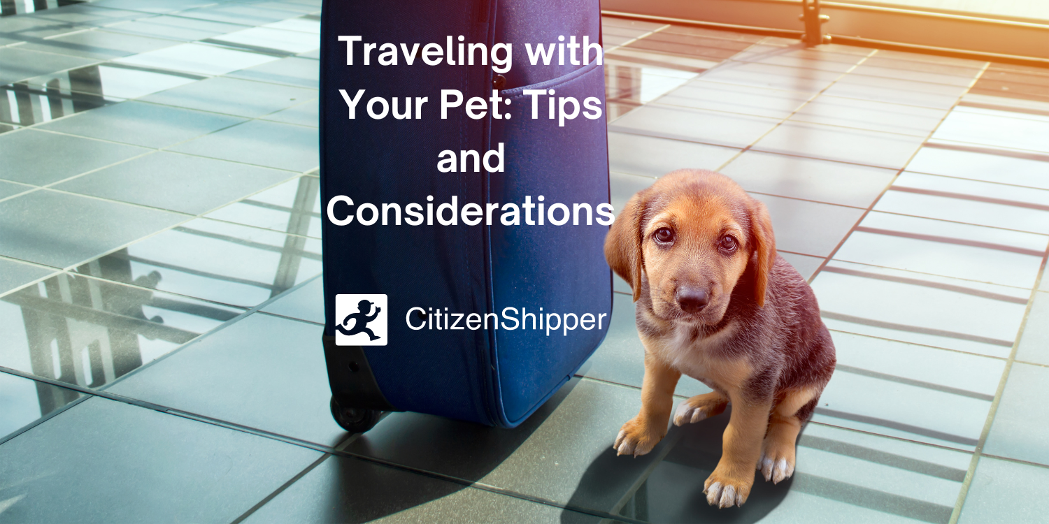 Tips for Traveling with Your Pet CitizenShipper Blog