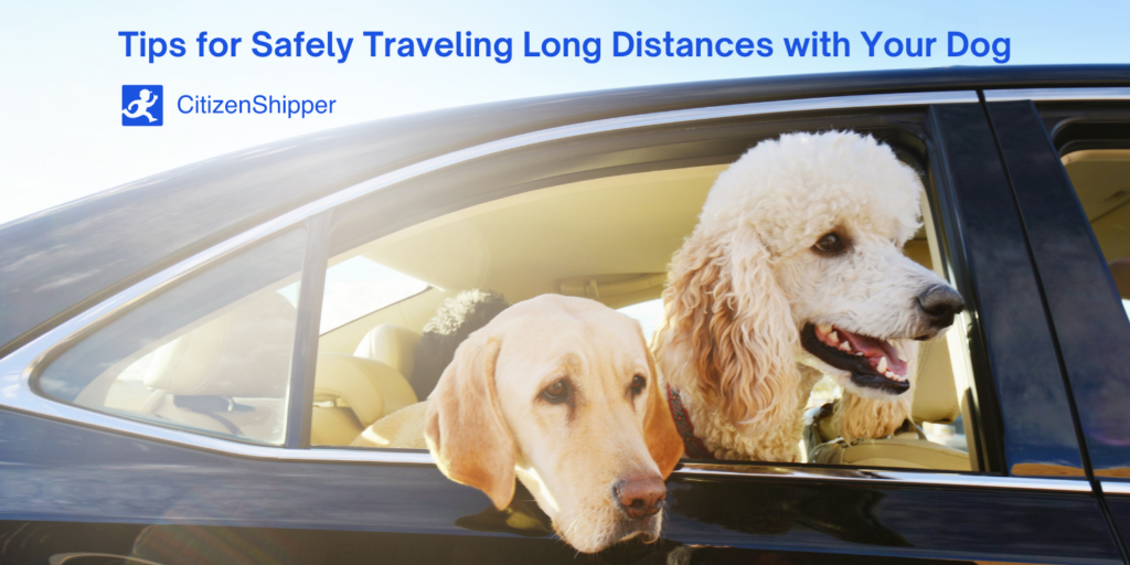 Tips for pet-safe travel on long journeys.