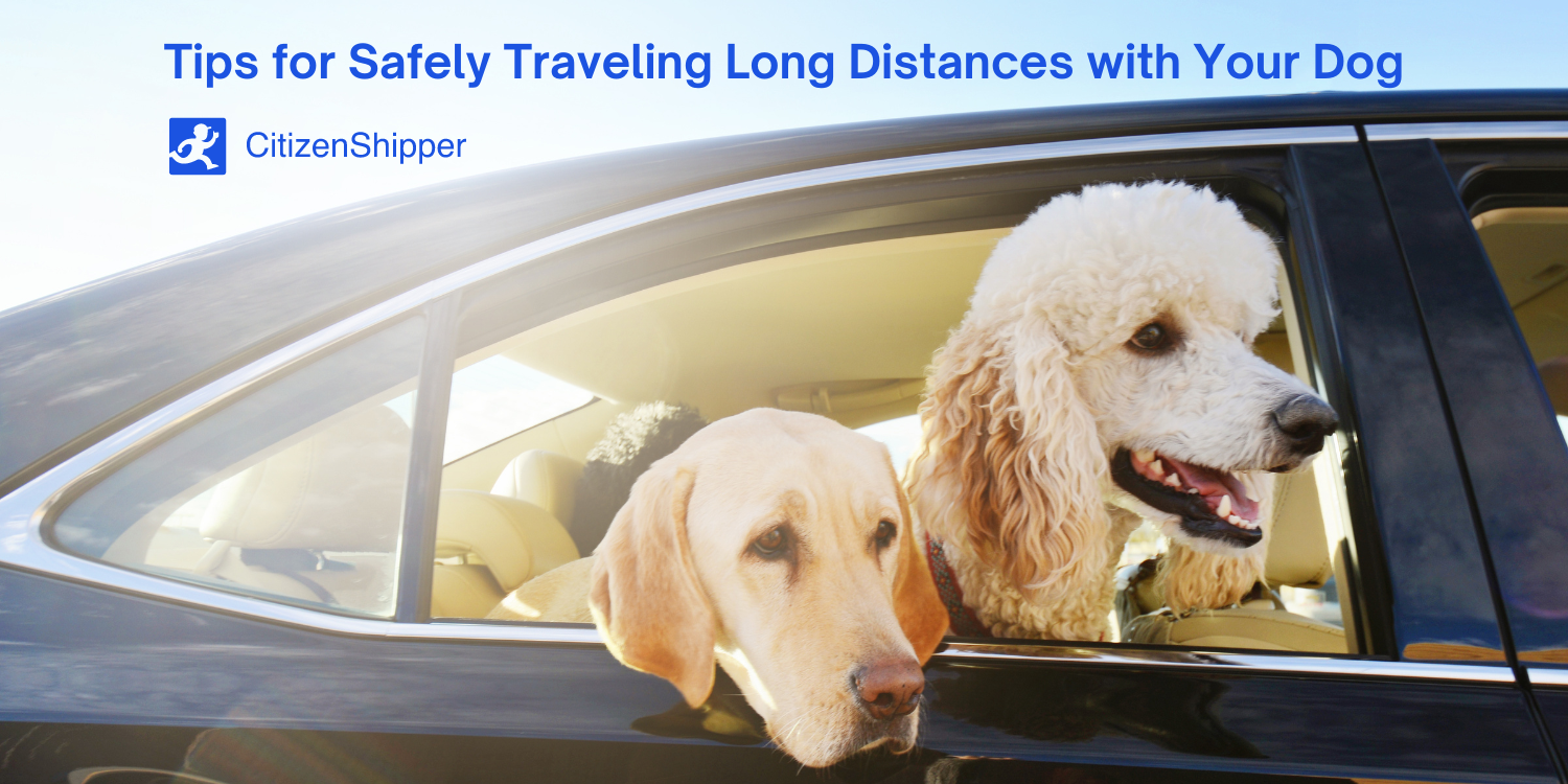 Travel Long Distance With Your Dog CitizenShipper Blog