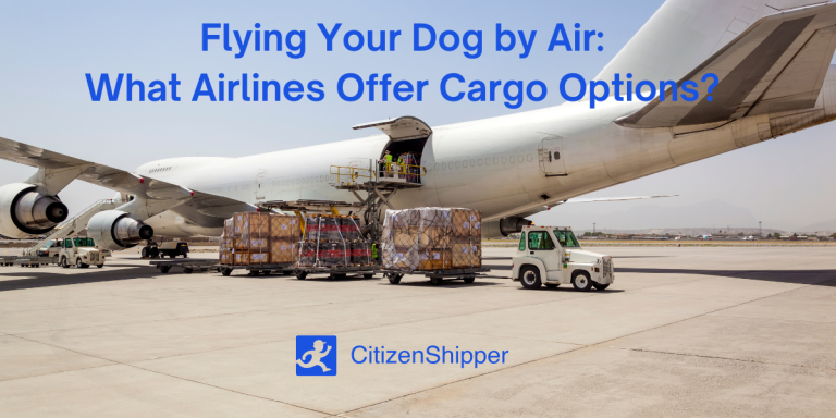 Cargo plane being loaded with pallets, text reads "Flying Your Dog by Air: What Airlines Offer Cargo Options?" Explore airlines that allow dogs in cargo with "CitizenShipper".